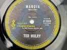 Ted Mulry Marcia / I Love You 7” 45 RPM Vinyl Promo Sample Record AP-9605