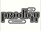 THE PRODIGY-EXPERIENCE VINYL RECORD ALBUM LP NEW