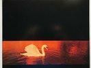 Van Morrison - Avalon Sunset - 1989 - Vinyl Record LP - Mercury Label