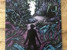 a day to remember Homesick vinyl