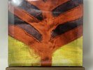 Yeah Yeah Yeahs - Show Your Bones Vinyl LP SEALED