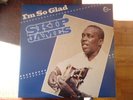 Skip James  I'm so glad Vinyl dble LP Vanguard VPD 20001 1966