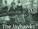 The Jayhawks, Tomorrow The Green Grass [LP], Excellent, Vinyl