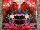 Psych LP Blue Mountain Eagle - S/T ATCO