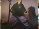 Fat Joe Da Gangsta Represent LP Original 1993 pressing Explicit Relativity