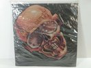 1987 Megadeth 7