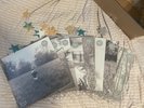 Taylor Swift Folklore Vinyl Set - ALL 8 VERSIONS - Sealed
