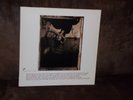 Vinyl-LP: PIXIES - Surfer Rosa (1988) (Incl. Where Is My Mind?) First Press