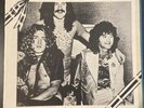 LED ZEPPELIN SOLO PERFORMANCES LP 1983