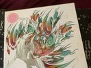 Data Disks Okami Vinyl OST Limited Edition Pink Spatter