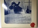 WIRE: The Ideal Copy US By Enigma 1987,gatefold SWAO-73270