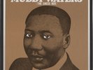 MUDDY WATERS 
