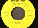 JOHNNY  ANDREWS & ENJOYMENTS: if i lost your love / disco girl WHEEL VAN 7