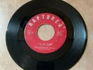 TEXAS SOUL FUNK GOSPEL 45 VOICES OF FAITH JESUS I'LL NEVER FORGET RAPTUREA 2002