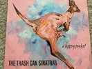 Trash Can Sinatras - 