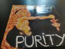Purity New Model Army Mint Condition Vinyl
