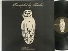 Trampled by Turtles - PALOMINO 12