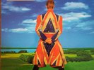 David Bowie ‎– Earthling ‎– 74321 43077-1  Vinyl LP Limited Europe1997 VG+/VG+