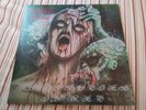 Disastrous Murmur- Rhapsodies in Red vinyl lp 2015 french reissue ships free