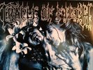 Cradle Of Filth - The Principle Of Evil Made Flesh Vinyl Record Read Description