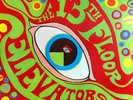 The 13th Floor Elevators The Psychedelic.. 180g Mono/Stereo 2x Vinyl Sealed MINT