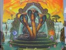 TASH SULTANA - TERRA FIRMA limited yellow