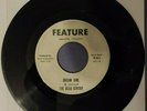 THE BEAU GENTRY / Dream Girl - Just In Case / FEATURE / 45rpm Vinyl Record