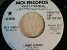 PROMO  LYNYRD SKYNYRD 45  WHAT'S YOUR NAME ***Only 1 on eBay*** MINTY