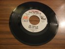 the VOICE OF NICK DE CARO I'M GONNA MAKE YOU LOVE ME A&M 1109 PROMO 45