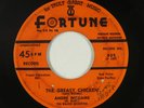 R&B Rocker 45 - Andre Williams - The Greasy Chicken - Fortune - mp3