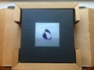 Warp20 (1989-2009) Warp Records 20th Anniversary Box Set Compilation