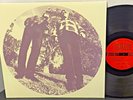 TY SEGALL & WHITE FENCE Hair 2012 DRAG CITY Alt Punk LP NMINT w Insert