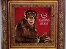 TALKING HEADS: Naked US Sire Orig Uni-Pak Gatefold New Wave LP NM Vinyl