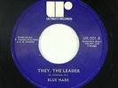 Psych Funk 45 - Blue Hare - They, The Leader - Ultimate - mp3 - obscure