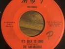 THE BARRACUDAS It's Been So Long / Affection Rare Garage Kiss Peter Criss MFT 45