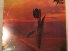 CRANIUMS The Pretty Things PARACHUTE orig unipac Rare Earth Lp SEALED ACID PSYCH