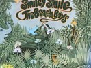 BEACH BOYS - SMILEY SMILE - EXCELLENT