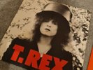 T Rex - The Slider - Vinyl LP Record BLN 5001 ( MARC BOLAN)
