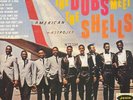 THE DUBS MEET THE SHELLS - 12