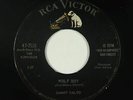 Rockabilly Teen 45 - Sammy Salvo - Wolf Boy - RCA Victor - mp3