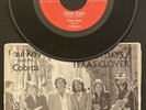 PAUL RAY & THE COBRAS STEVIE RAY VAUGHAN Other Days 45 RPM  Pic Sleeve 30322 VG+
