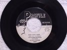 THE NIGHT RAIDERS/MICKEY HANKS Hidi Hidi Hidi PROFILE 4007