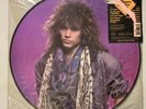Bon Jovi - Slippery When Wet LP 1986 Limited Picture Disc Mercury
