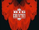 Big Country - The Buffalo Skinners [New Vinyl LP] Black, Gatefold LP Jacket, 180