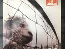 Pearl Jam Vs vinyl - Original 1993. V Good/V Good A1A/B1B matrix. V. Rare