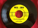 Wayne Moore, WA-MO 8608, Shaggin Volkswagen & Snow-Mobile, Great country rocker