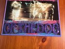 Temple of the Dog orig 1st press LP Vinyl in shrink 1991 mint Record