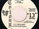 Rare Rockabilly D.G. WILLIAMS & Delta Raiders - NIGHT TIME HONK - COLONY 45 rpm