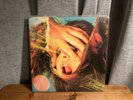 The Flaming Lips - Embryonic - Double Vinyl LP