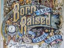 JOHN MAYER BORN AND RAISED - 2 LP SET 